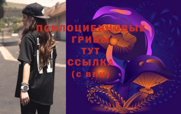 наркотики Абаза
