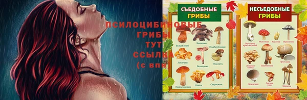 наркотики Абаза