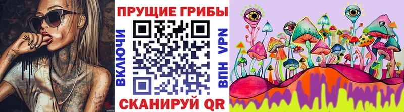 Псилоцибиновые грибы GOLDEN TEACHER  Чишмы 